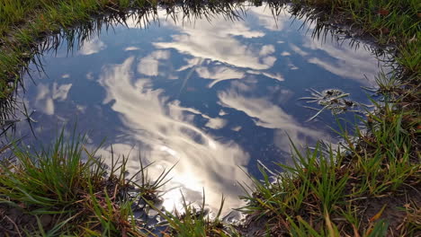 sky and clouds reflected in a puddle with green grass