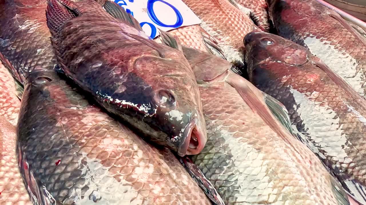 Detailed view of fish arranged neatly with visible price tags at a market stall.