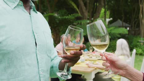 Animation-of-midsection-of-diverse-senior-male-and-female-friends-toasting-with-wine-in-garden