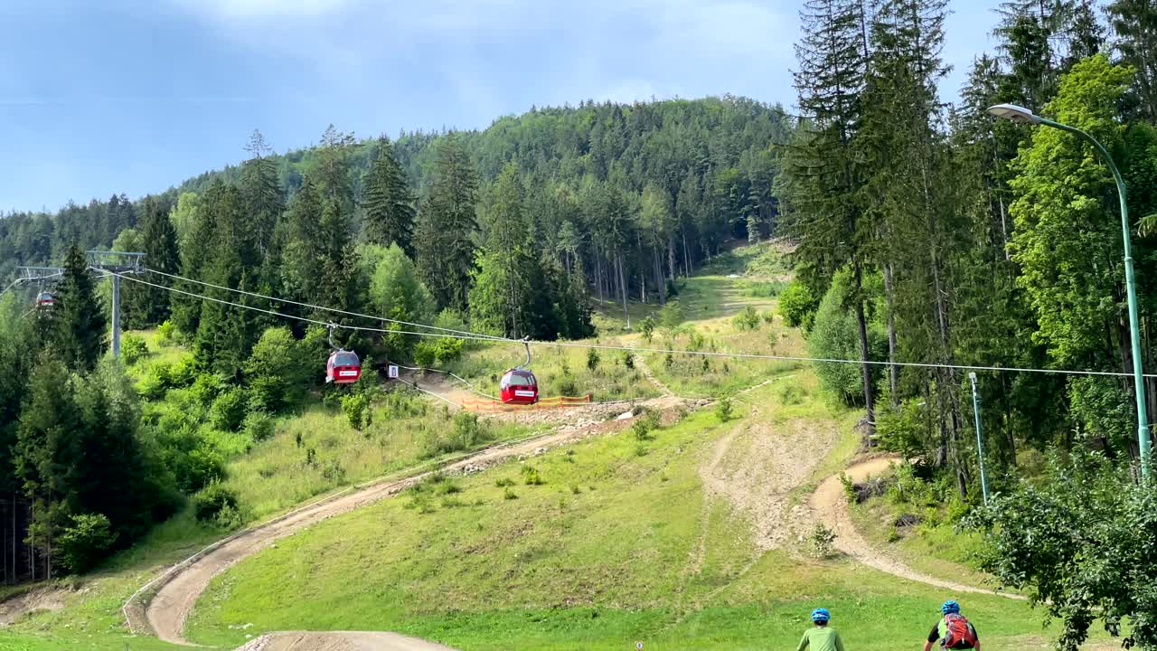 Gondole rosse che si incrociano sulla funivia, fitta foresta sul versante della montagna