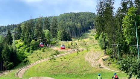 red gondolas passing each other on cableway, lush forest on mountainside