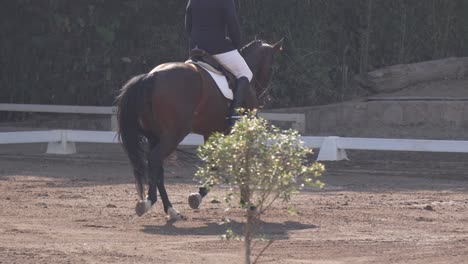 man competing in dressage, olympic horse riding discipline