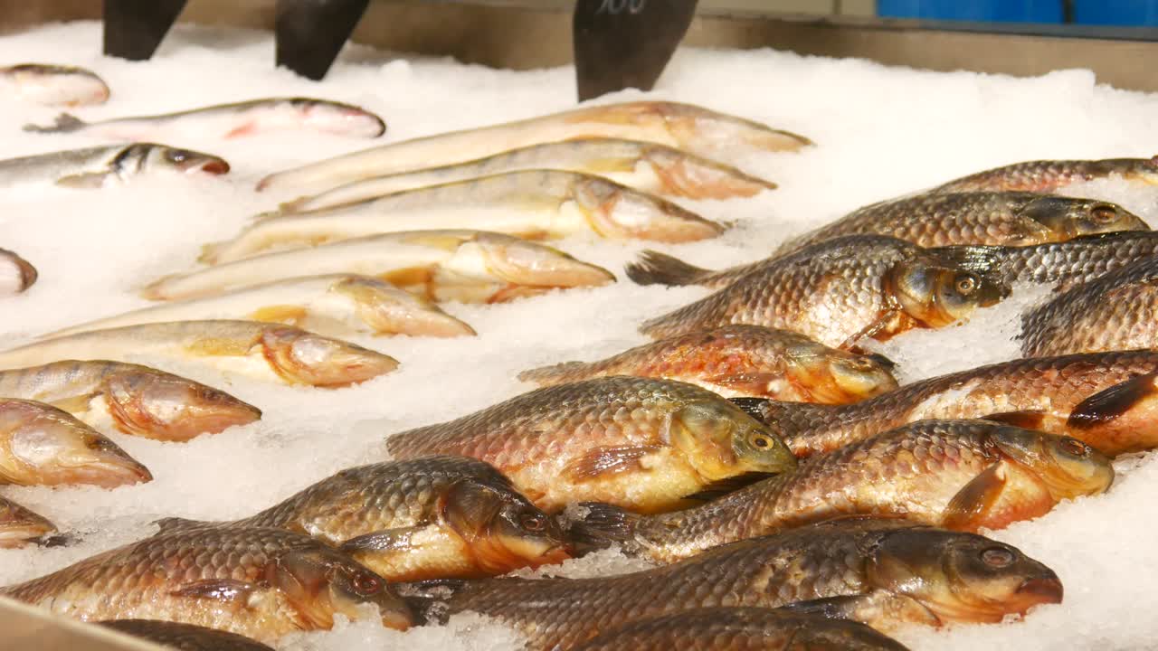 primer plano de una vitrina de refrigeración cubierta de hielo y muchos peces diferentes acostados en ella