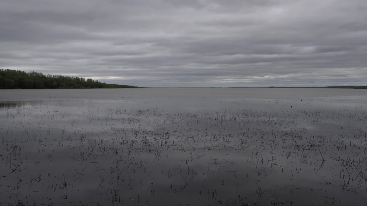 Красивый, огромный водный простор с несколькими плавающими в нем веточками и деревьями справа, и все это под сероватым небом.