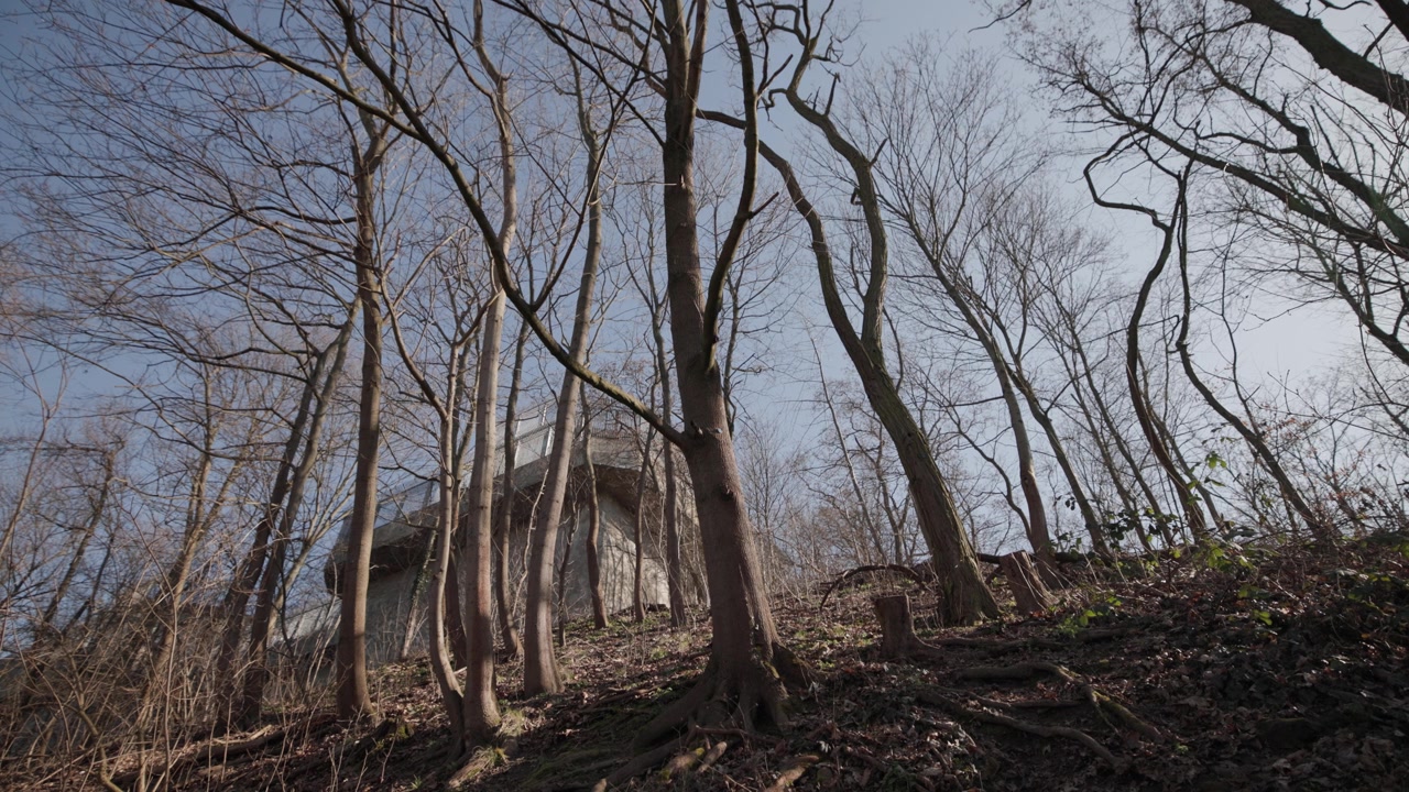 Uma tomada de baixo ângulo para cima olha através de um denso bosque de árvores de inverno sem folhas em uma colina íngreme, expondo a estrutura maciça e histórica de concreto do bunker Flakturm no Parque Humboldthain em Berlim.
