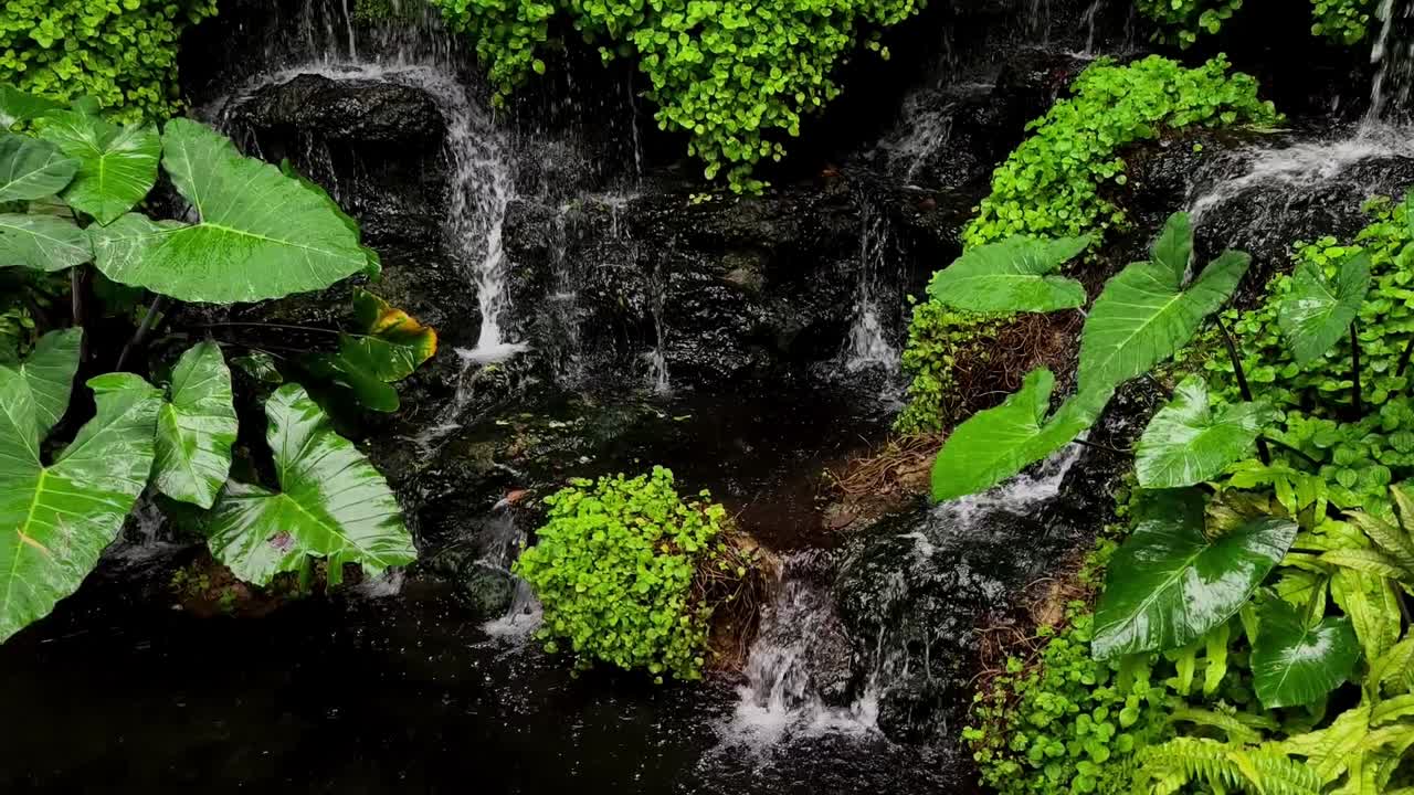 jardín de cascadas con plantas exuberantes