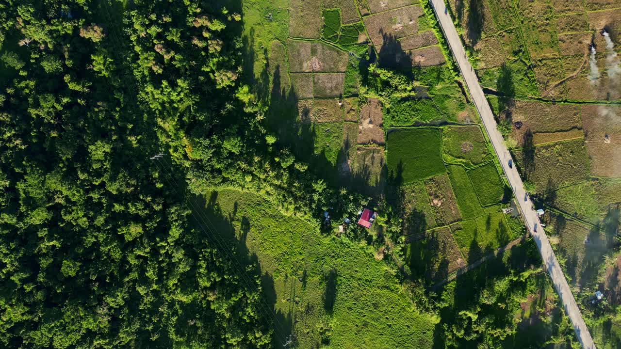 Lush tropical jungles and rice fields along a provincial highway road during daytime at San Andres, Catanduanes, Philippines - aerial top-down view