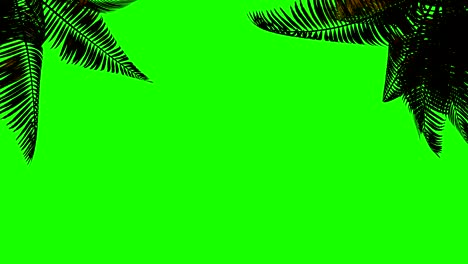 animation palm branch and leaves in the wind on a green background.  keying, green background alpha channel