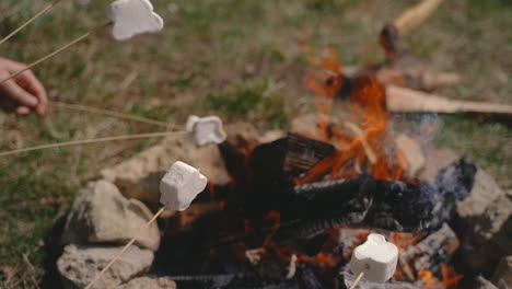 a group of young people warm marshmallows on a bonfire 4