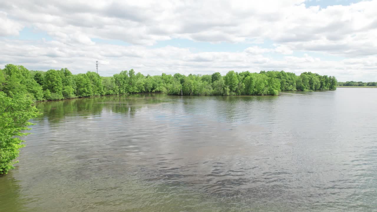 물속에 나무가 있는 호수의 아름다운 풍경을 정적 샷