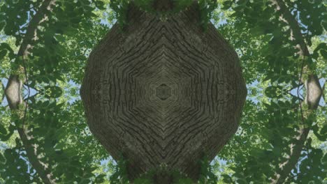 Grünes-Kaleidoskop-Mit-Waldbildern-Aus-Wissahickon-Creek,-Philadelphia,-#39