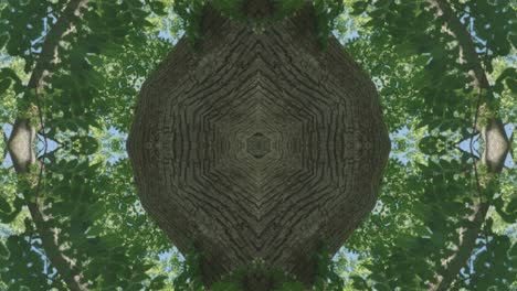 greenery kaleidoscope using forest imagery from wissahickon creek, philadelphia, #39