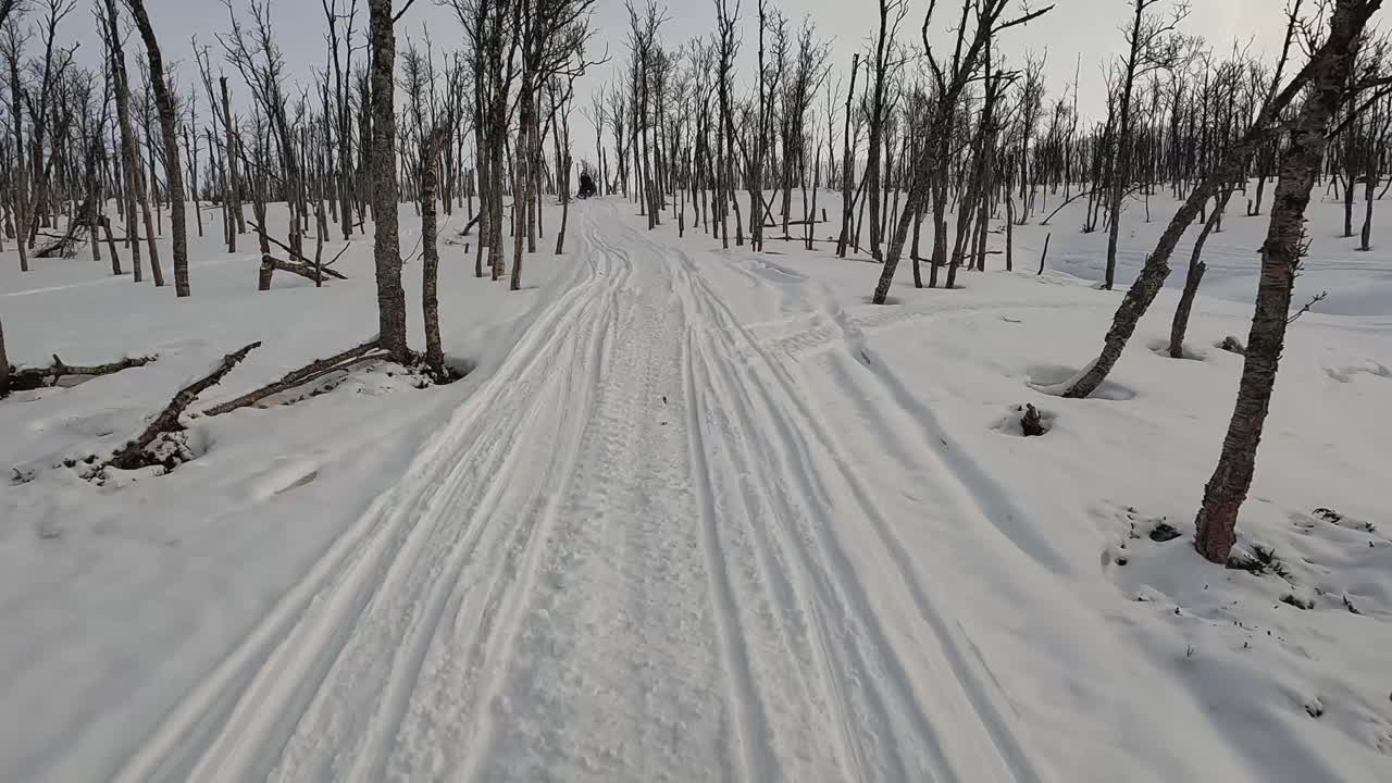 노르웨이에서 스노우 자전거 타기 트롬소 겨울 동안 아침에 나무 선을 건너