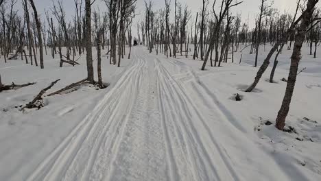 Snow-bike-ride-in-Norway-Tromso-during-winter-in-the-morning-crossing-tree-line