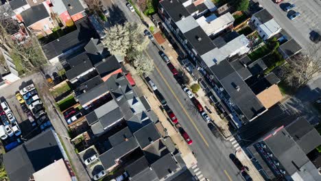 Aerial-reveal-of-urban-houses-and-church-with-trees-blossoming-in-spring