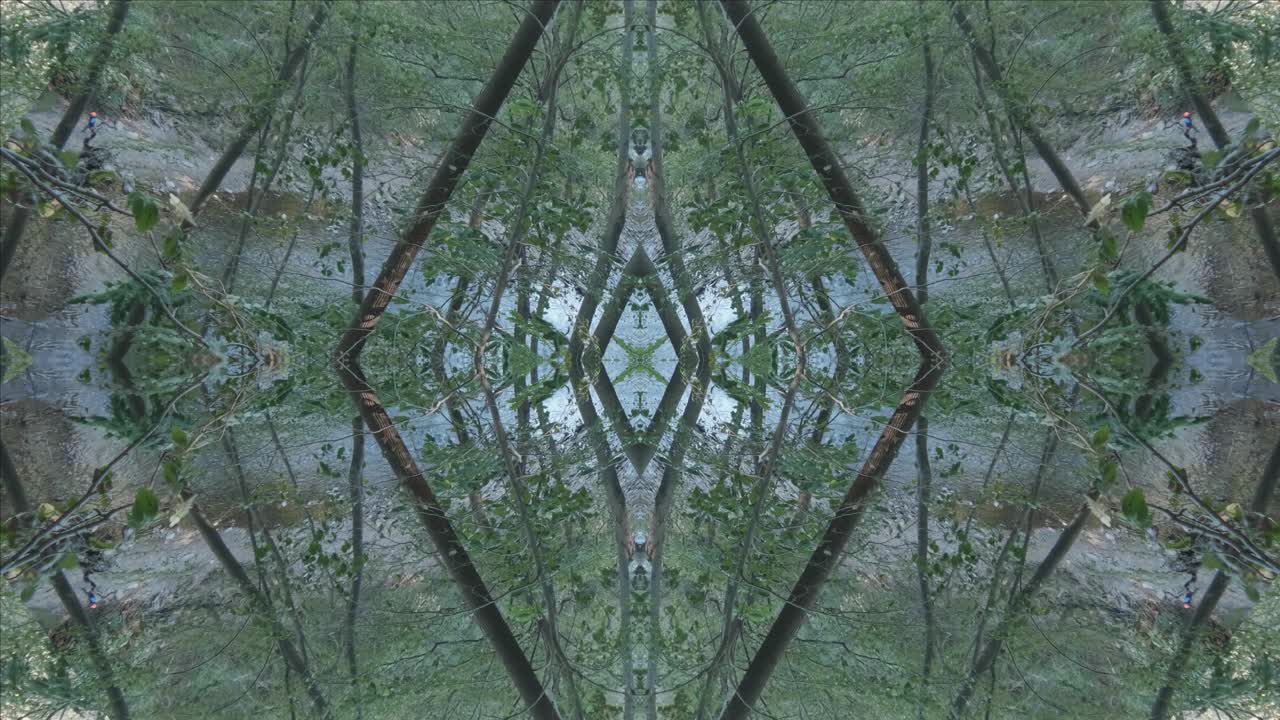 위사히콘 크릭, 필라델피아, #22의 숲 이미지를 사용한 녹지 만화경