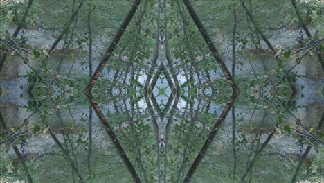 Grünes-Kaleidoskop-Mit-Waldbildern-Aus-Wissahickon-Creek,-Philadelphia,-Nr.-22