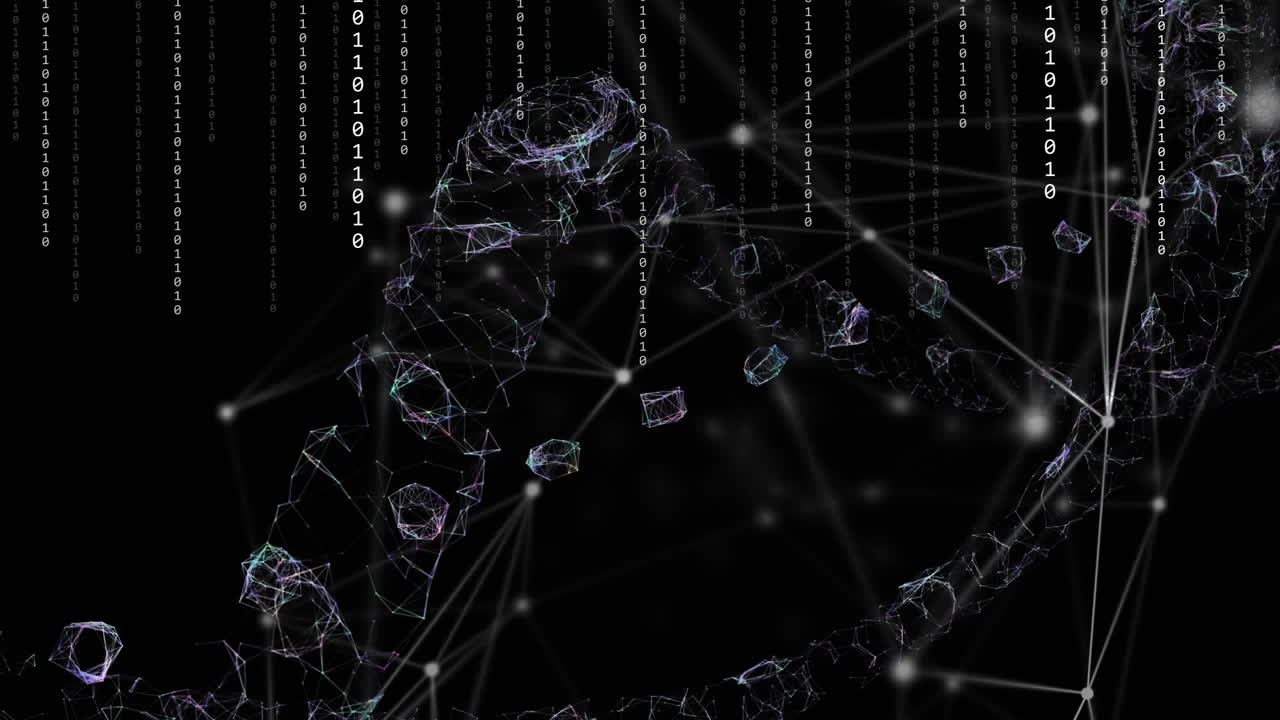 연결 애니메이션, 바이너리 코딩 및 데이터 처리