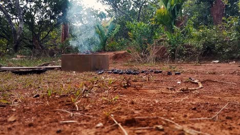 Cat-waking-past-outdoor-smoking-fire-pit