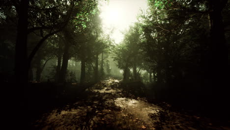 un camino a través de un bosque oscuro y brumoso