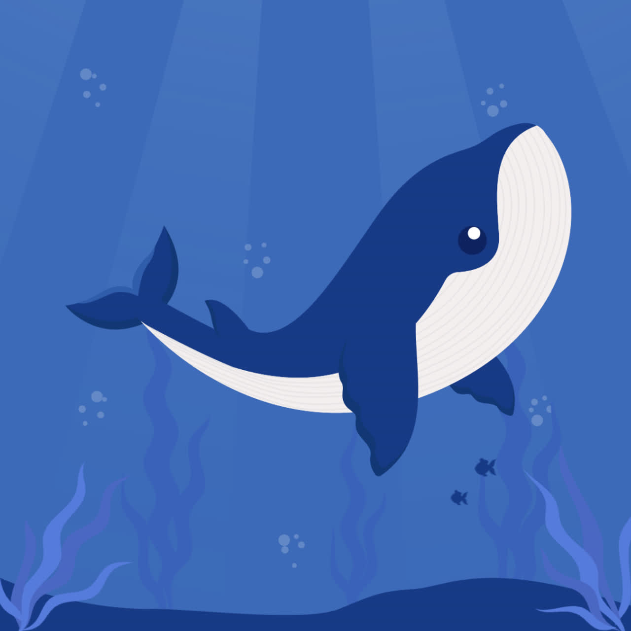 Cute Whale in the Ocean