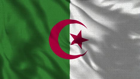 realistic 4k - 30 fps flag of the algeria