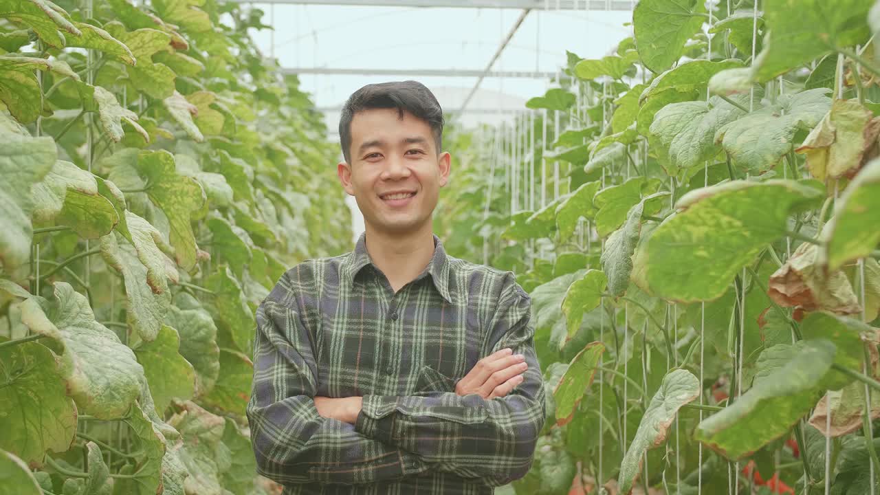 アジアの農夫がメロン農場の緑の家でポーズをとってカメラに笑顔を浮かべる