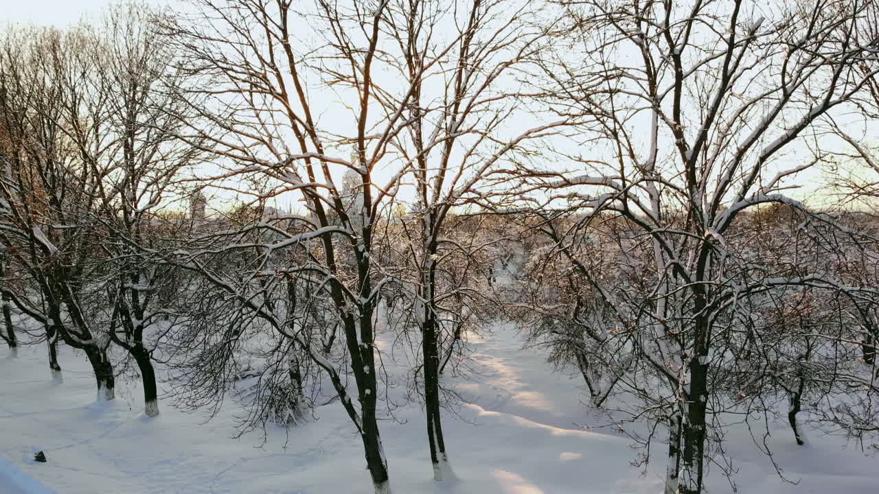 핀란드 라플란드의 황야 한가운데에 있는 아름다운 눈 덮인 나무들 사이를 비행하는 항공 영상입니다.