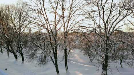 Luftaufnahmen-Vom-Flug-Zwischen-Wunderschönen-Verschneiten-Bäumen-Mitten-In-Der-Wildnis-In-Lappland,-Finnland.