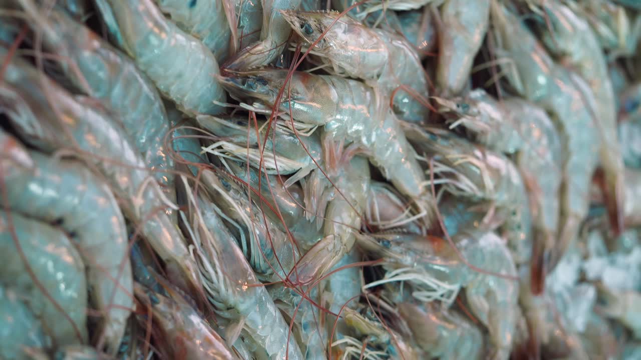 Pile of Fresh Raw Shrimp