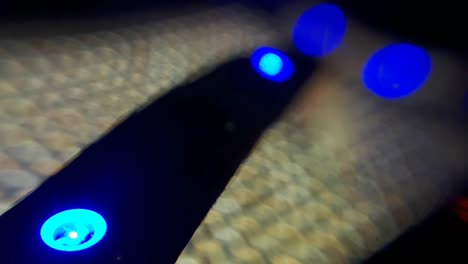 close up of blue led strip light diodes