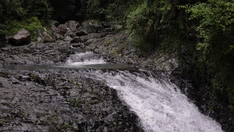 Top-of-the-waterfall-on-Cave-Creek-from-the-walking-trail,-Natural-Bridge,-Springbrook-National-Park