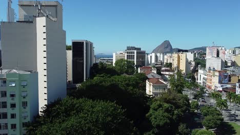 aerial drone of beautiful rio de janeiro - trees in city centre revealing sugar loaf on the background