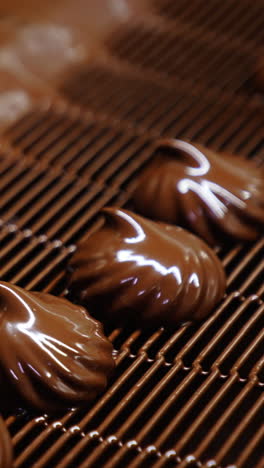 marshmallows being deepened into a thick layer of chocolate. production of zephyr sweets at confectionary factory. close up. vertical video