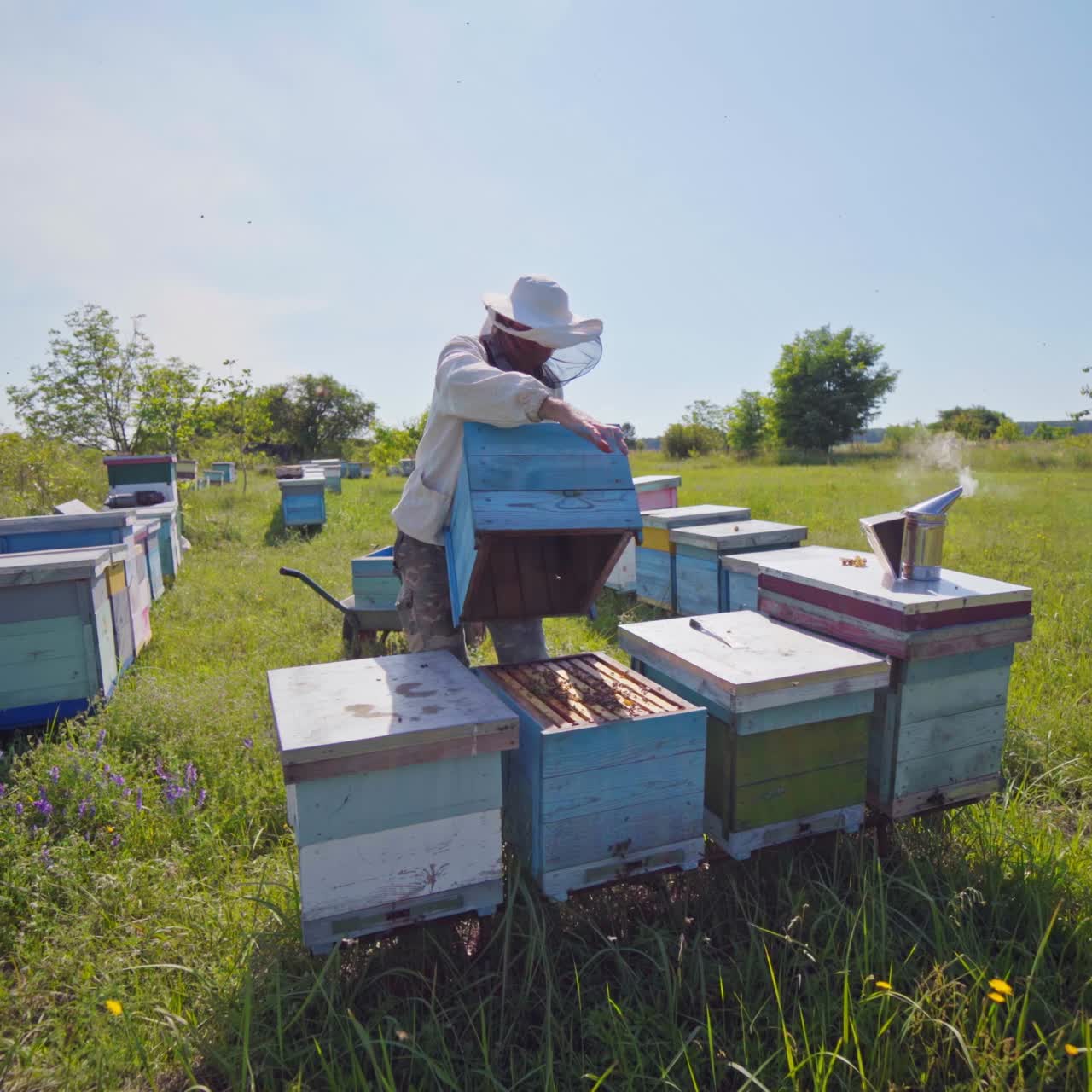 Apiculturist near bee houses. Male beekeeper in protective hat works with wooden box on the apiary among green nature.