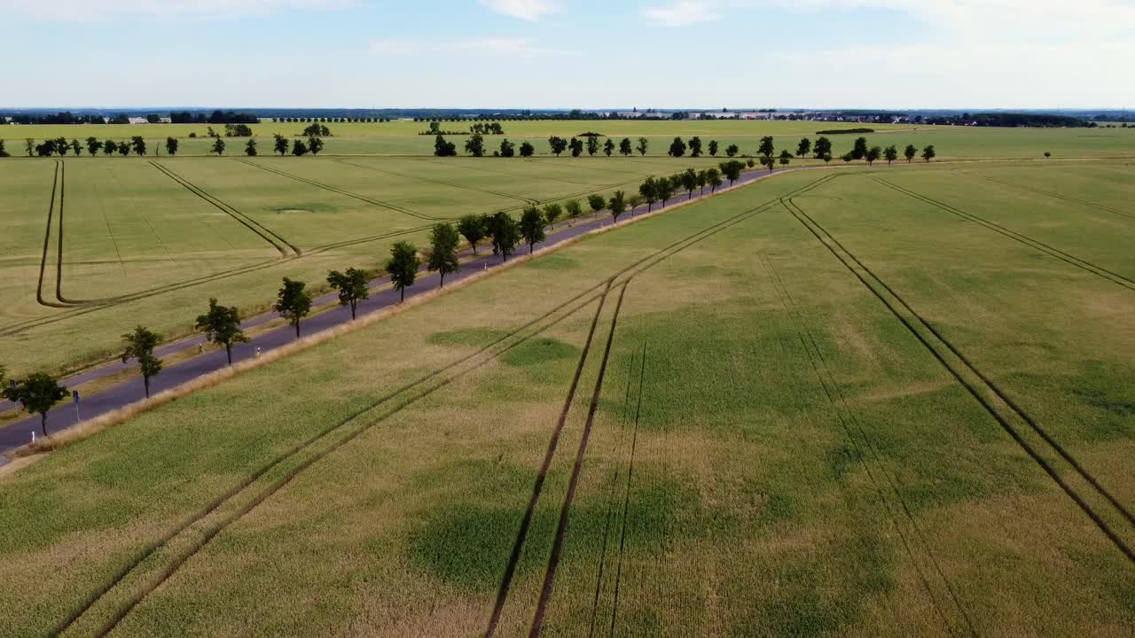 Little street, trees, avenues alleys