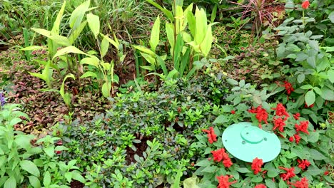 flores y plantas en un jardín vibrante