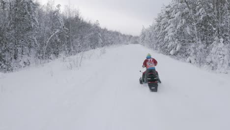 snowmobiler on a snowy trail through a forest