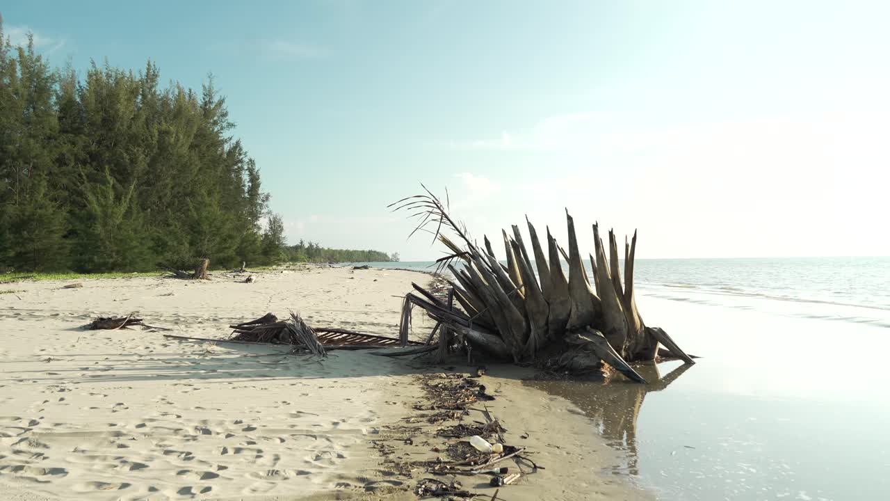 Underated Sunset Gerigat Beach,Fishing Village Kabong.White Sandy Beach,Green Coconut Trees and Blue Sea,Sky Sarawak,Borneo.