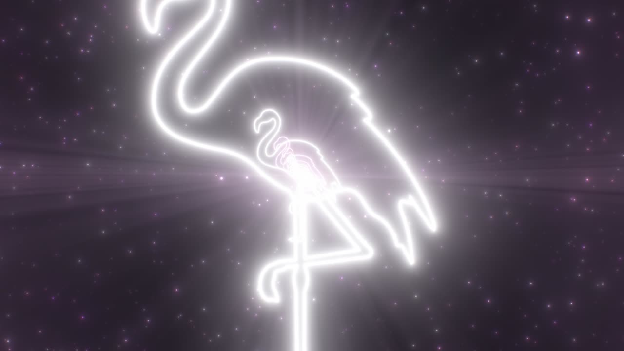 분홍색 플라밍고 새 동물 모양 윤 반이는 네온 조명 터널 - 4k 원활한 vj 루프 모션 배경 애니메이션