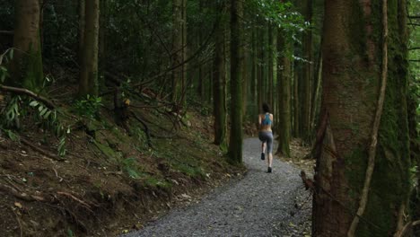 fit woman jogging in the countryside