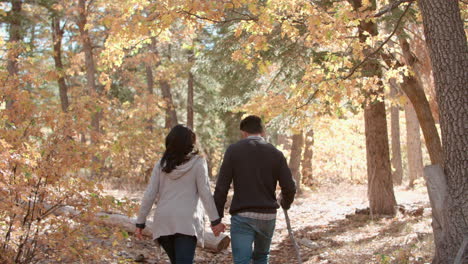 hispanic couple hold hands walking in a forest, back view