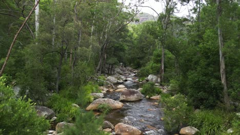 water slowly cascades down a secluded creek running through an australian outback bush scene