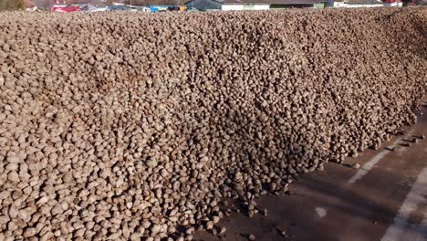 Harvested-Sugar-Beets-Piled-In-A-Large-Heap---Aerial-Drone-Shot