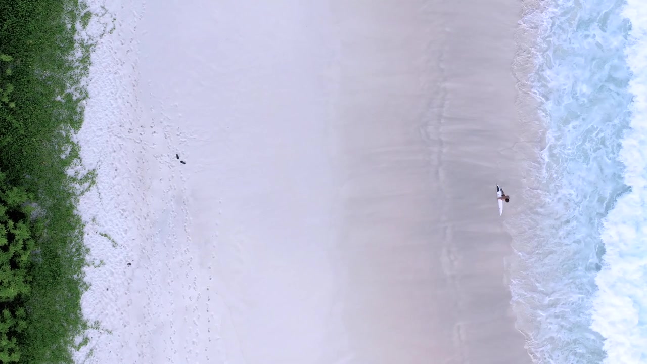 Aerial top-down drone shot looking straight down at an empty white sand beach with lush palms on one edge and waves crashing along the shoreline in the Seychelles.