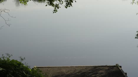 Calm-Lake-at-Sunrise-with-Small-Jetty-with-Overhanging-Trees