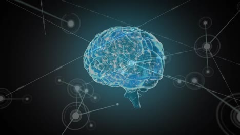 cerebro digital con red