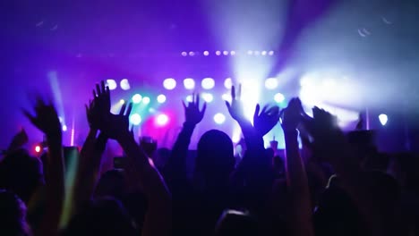 crowd at a concert with their hands raised