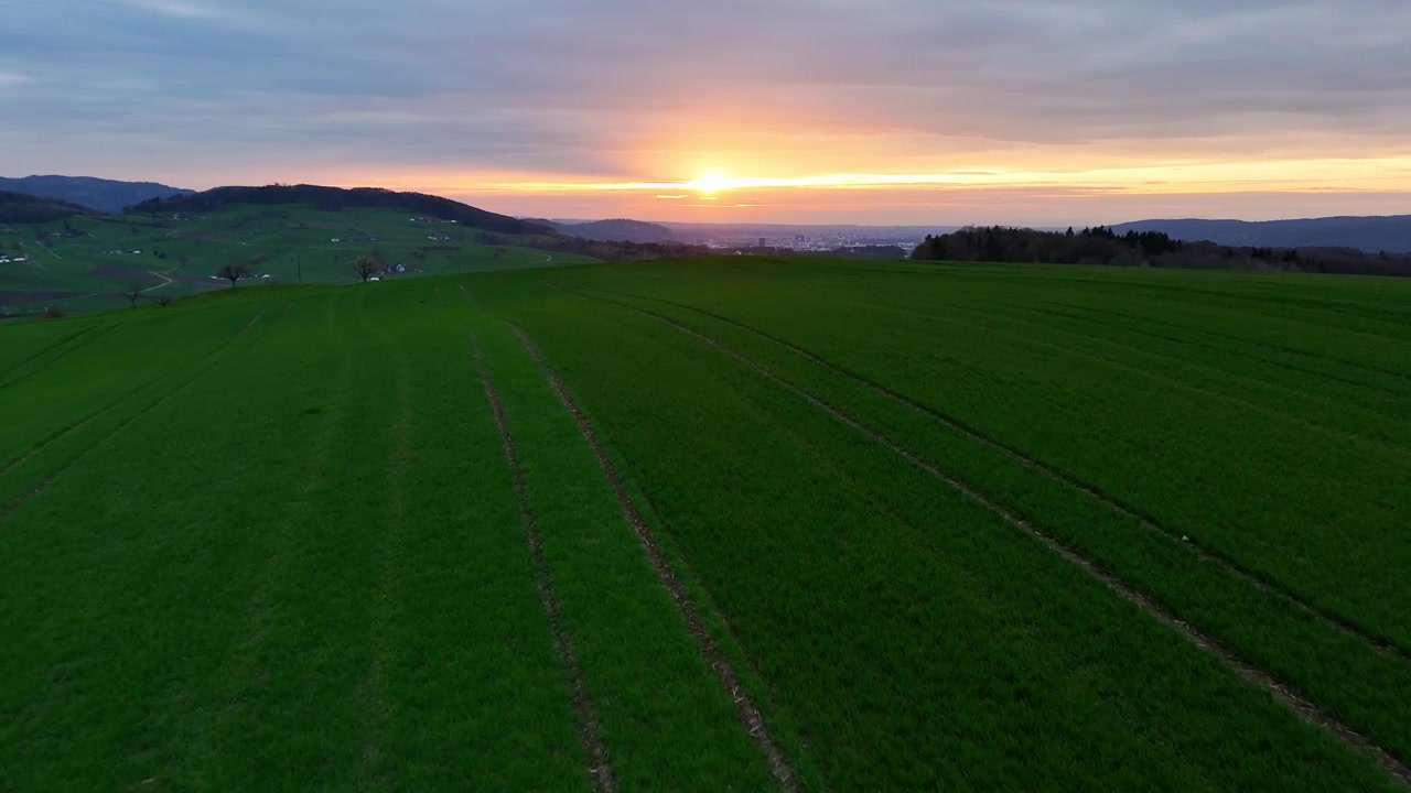 Winter cereal fields near Arisdorf, Basel-Landschaft, Switzerland, revealing emerging crop rows, rolling farmland and the village beneath a colorful sunset, fast drone forward flyover.ance)