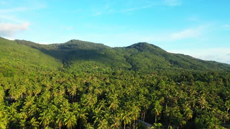 tropical jungle with palm trees forest on slopes of beautiful hills of islands under bright blue sky with white clouds in myanmar